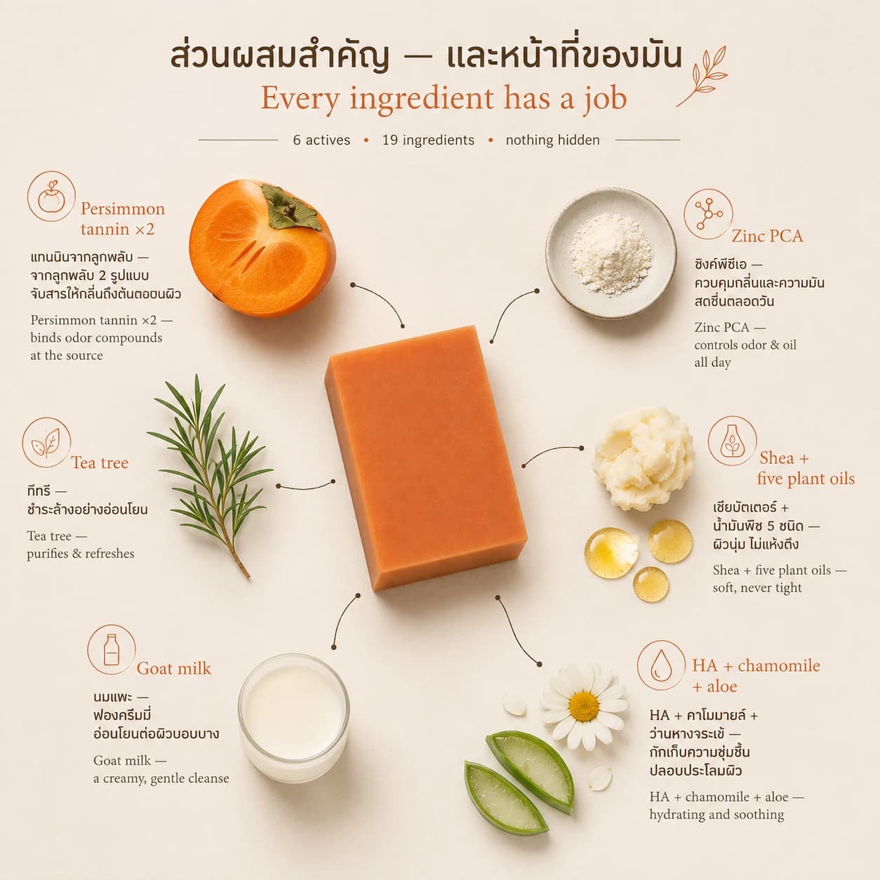 คู่มือส่วนผสมสำคัญของสบู่ลูกพลับ